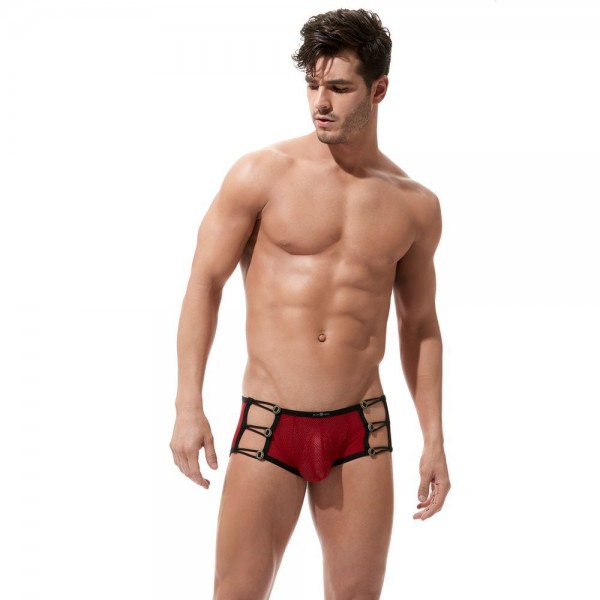Boxer Conquistador